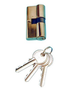 COGEX CYLINDRE POUR PORTE EN METAL + 3 CLES SECURITE EUROPE