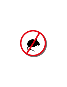 WEITECH RAT TRAP ONE WAY Piège Souris 2