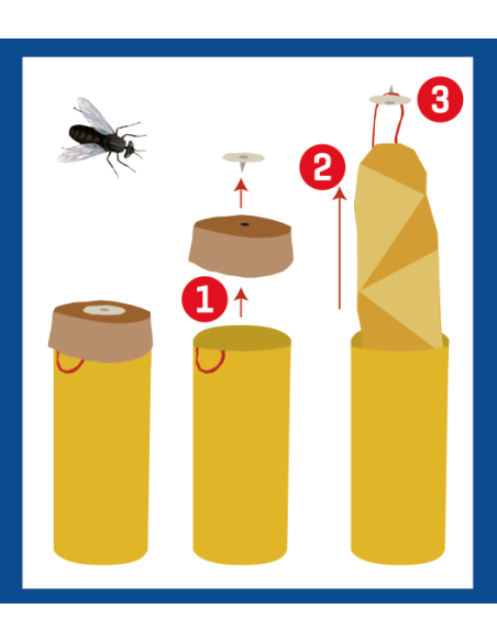 WEITECH FLY CATCHER 4 GLUE TUBES Elimine Mouches Moucherons