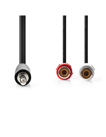 Câble audio stéréo  3.5 mm Mâle  2x RCA Femelle  Plaqué nickel  0.20 m