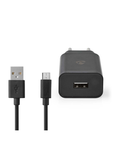 Chargeur mural  12 W  Fonction de charge rapide  1x 2.1 A A  Nombre de