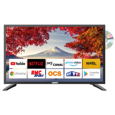ANTARION TV LED 19" 48cm Smart Connect Android 9.0 12V/24V/220V Camping-car