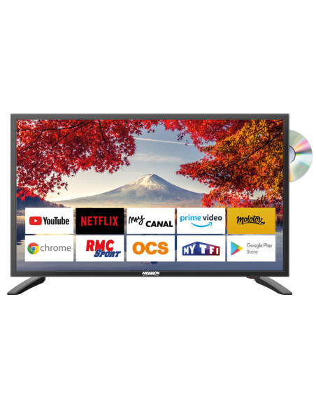 ANTARION TV LED 19" 48cm Smart Connect Android 9.0 12V/24V/220V Camping-car