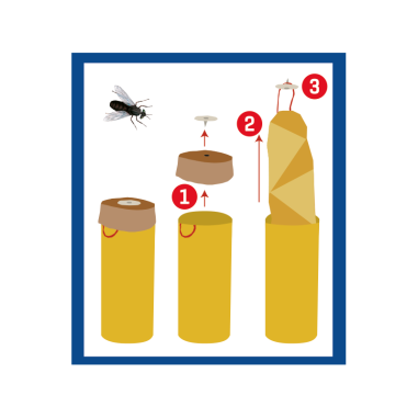 WEITECH Pack 4x Glue Tubes Elimine mouches et moucherons
