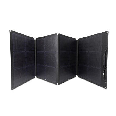 PACK ECOFLOW DELTA 2 Station d'énergie portable + 2X panneau solaire portable et pliable 110W Camping