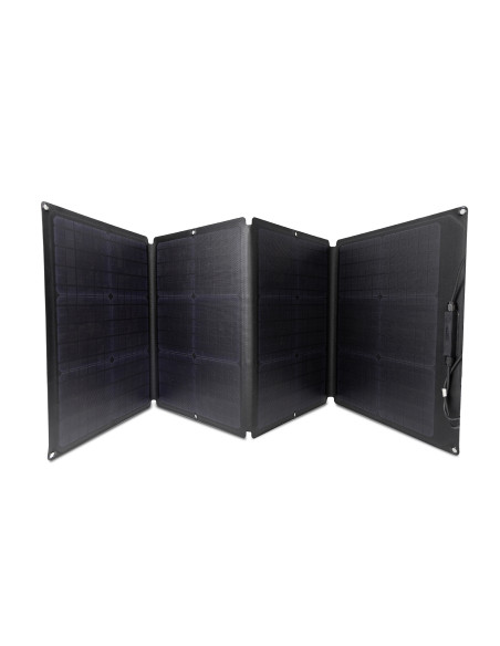 PACK ECOFLOW DELTA 2 Station d'énergie portable + 2X panneau solaire portable et pliable 110W Camping