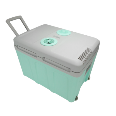 INCASA Glacière thermoélectrique 40L maintient au froid ou au chaud Vert/Bleu