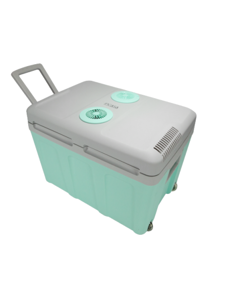 INCASA Glacière thermoélectrique 40L maintient au froid ou au chaud Vert/Bleu