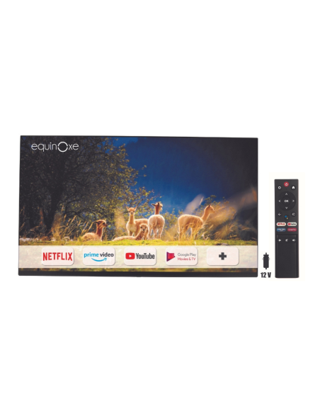 EQUINOXE Moniteur Smart Android TV Full HD 24'' / 60 cm Rétroéclairage LED