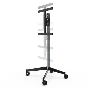 Pied TV 039240