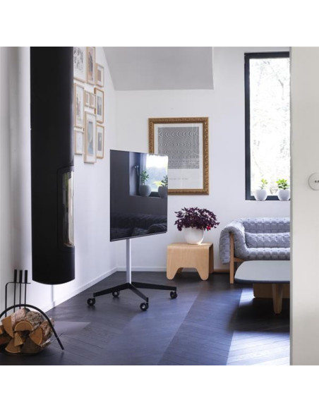 Pied TV 039240