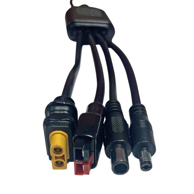EZA Adaptateur MC4 - 4 sorties - Pour Station d'énergie Portable
