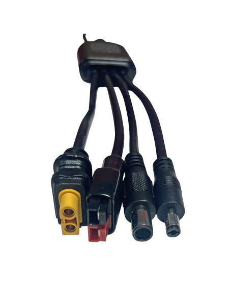 EZA Adaptateur MC4 - 4 sorties - Pour Station d'énergie Portable