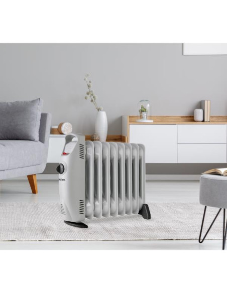 Radiateur à bain d'huile OLIA1000