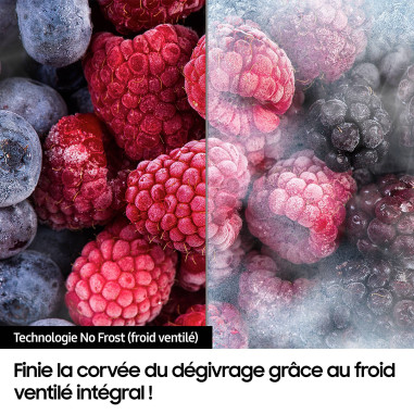 SAMSUNG Réfrigérateur Combiné 344L No Frost