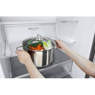 LG Réfrigérateur combiné Carbone 462L Froid Ventilé Total No Frost