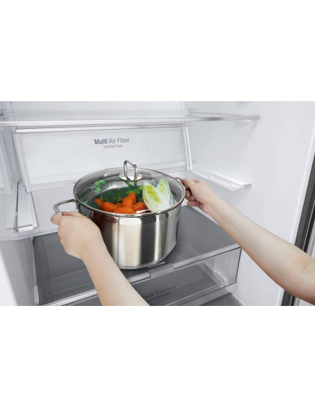LG Réfrigérateur combiné Carbone 462L Froid Ventilé Total No Frost