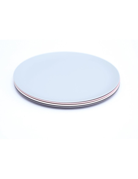 INCASA Lot de 4 assiettes plates en PLA - Camping