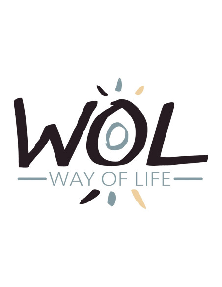 WOL Bouilloire électrique 12 Volts - Camping