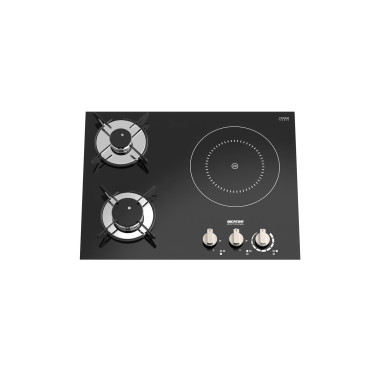 THETFORD Plaque de cuisson 2 feux gaz + 1 induction Top Line 981 Version Droite
