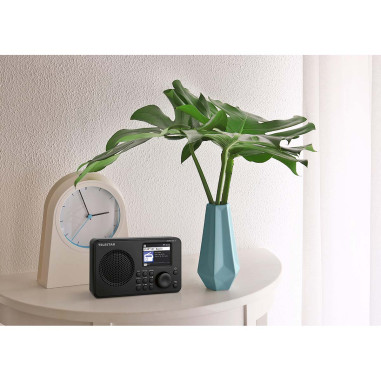 Telestar 20-100-02 Radio Internet DIRA M 5i Noir