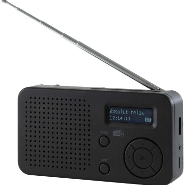 Imperial 22-128-00 DABMAN 17 Radio portable DAB+/FM avec Bluetooth noir