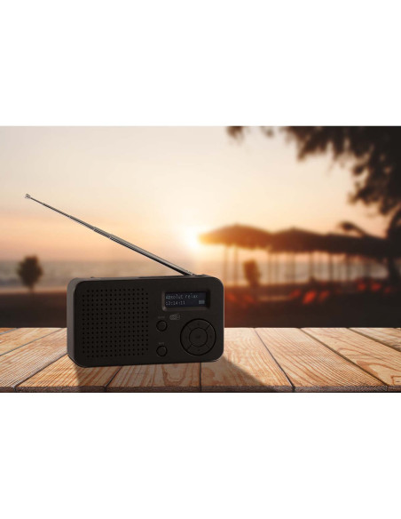 Imperial 22-128-00 DABMAN 17 Radio portable DAB+/FM avec Bluetooth noir