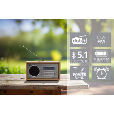 Imperial 22-129-00 DABMAN 30 Radio mobile DAB+ / FM Bois