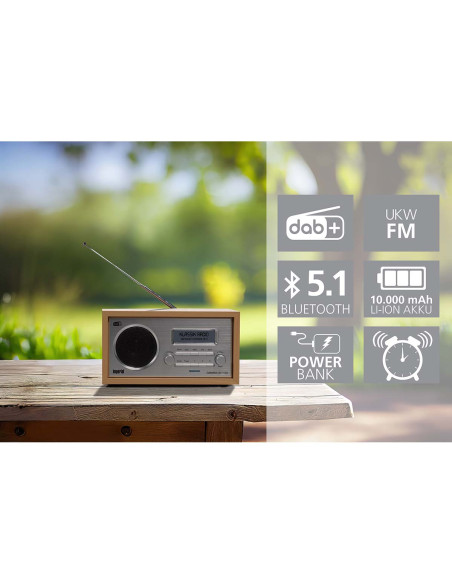Imperial 22-129-00 DABMAN 30 Radio mobile DAB+ / FM Bois