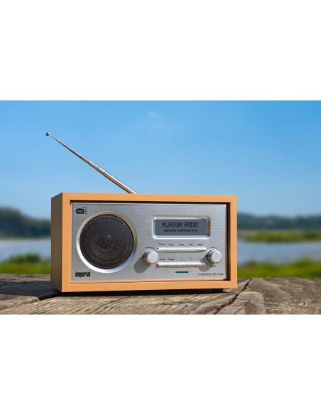 Imperial 22-129-00 DABMAN 30 Radio mobile DAB+ / FM Bois