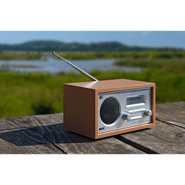Imperial 22-129-00 DABMAN 30 Radio mobile DAB+ / FM Bois