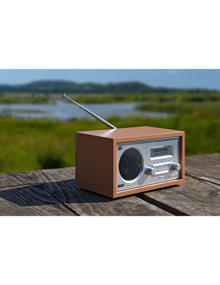 Imperial 22-129-00 DABMAN 30 Radio mobile DAB+ / FM Bois