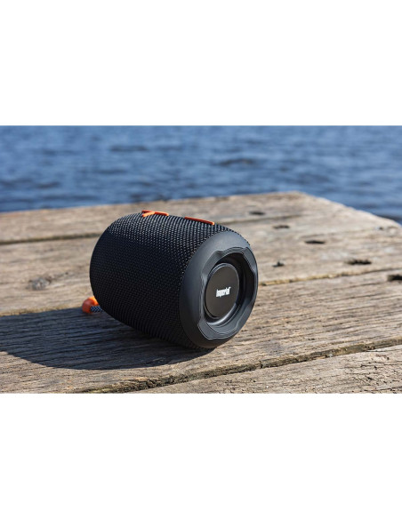 Imperial 22-9054-00 Haut-parleur Bluetooth BAS 9