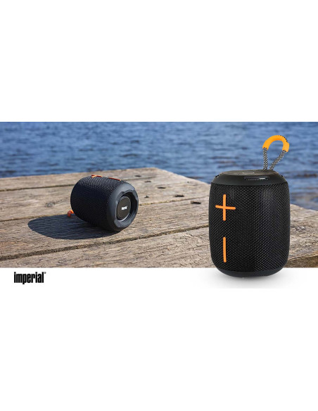 Imperial 22-9054-00 Haut-parleur Bluetooth BAS 9