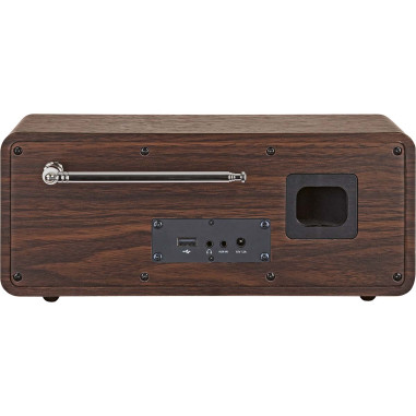 Telestar 30-200-01 DIRA S 24i Radio stéréo multifonctionnelle DAB+ / FM / Internet / Bluetooth Bois