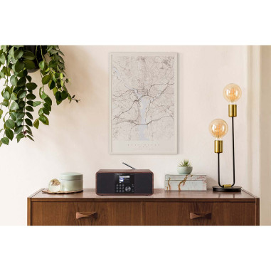 Telestar 30-200-01 DIRA S 24i Radio stéréo multifonctionnelle DAB+ / FM / Internet / Bluetooth Bois