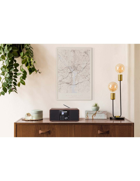 Telestar 30-200-01 DIRA S 24i Radio stéréo multifonctionnelle DAB+ / FM / Internet / Bluetooth Bois