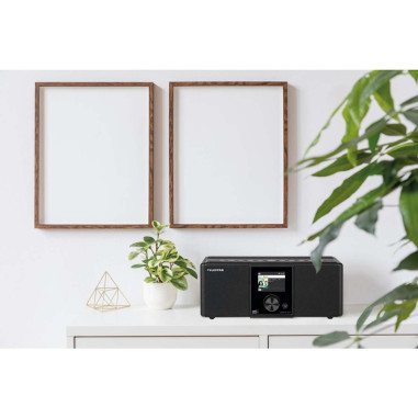 Telestar 30-221-02 DIRA S21i+ EWF Radio stéréo multifonctionnelle DAB+ / FM / Internet / Bluetooth Noir