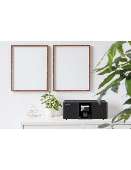 Telestar 30-221-02 DIRA S21i+ EWF Radio stéréo multifonctionnelle DAB+ / FM / Internet / Bluetooth Noir