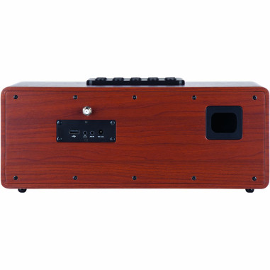 Telestar 30-320-01 DIRA S32i CD EWF Radio stéréo multifonctionnelle avec lecteur CD DAB+ / FM / Internet / Bluetooth Bois
