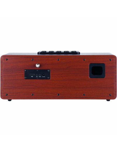 Telestar 30-320-01 DIRA S32i CD EWF Radio stéréo multifonctionnelle avec lecteur CD DAB+ / FM / Internet / Bluetooth Bois