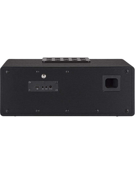 Telestar 30-320-02 DIRA S32i CD EWF Radio stéréo multifonctionnelle avec lecteur CD DAB+ / FM / Internet / Bluetooth Noir