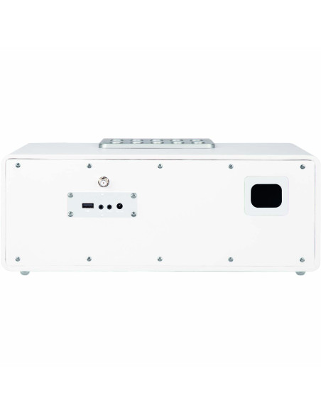Telestar 30-320-03 DIRA S32i CD EWF Radio stéréo multifonctionnelle avec lecteur CD DAB+ / FM / Internet / Bluetooth Blanc