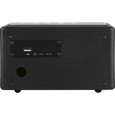 Telestar 5320200 DIRA M 12i MP3 internetradio