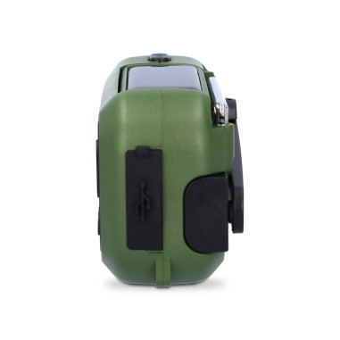 Nedis RDDBCR2000GN Radio d'urgence