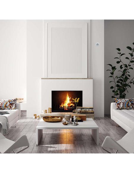 Alecto SMARTCOA10 SMARTCOA10 Détecteur intelligent de monoxyde de carbone