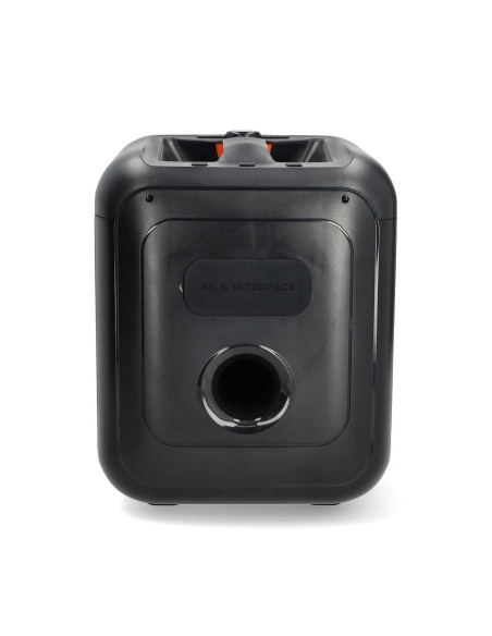 Nedis SPPT2450BK Haut-parleur BlueTooth® Party