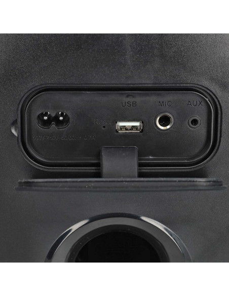 Nedis SPPT2450BK Haut-parleur BlueTooth® Party
