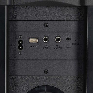 Nedis SPPT2480BK Haut-parleur BlueTooth® Party