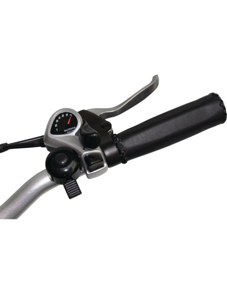 EZA Vélo à assistance électrique Confort 20'' Noir 13Ah